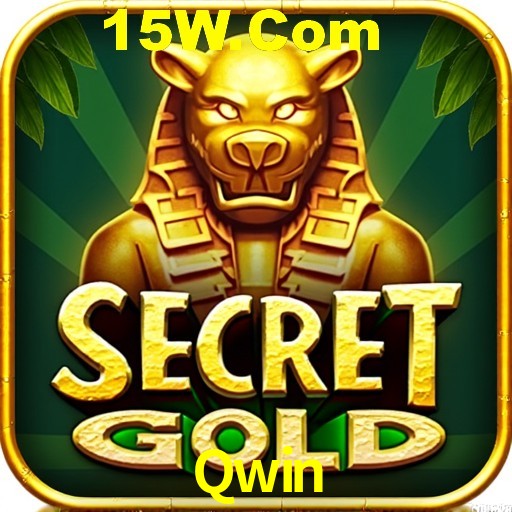 Security Systems Qwin